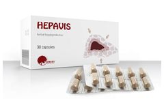 Hepavis - Combined Choleretic Product