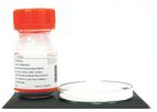 Nanoshel - Model NS6130-02-201 - Hexagonal Boron Nitride (hBN)