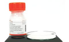 Nanoshel - Model NS6130-02-201 - Hexagonal Boron Nitride (hBN)