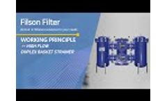 Working Principle-- Filson Fabricated Duplex Basket Strainer  - Video