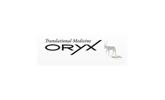 VicOryx - Model p16 - Therapeutic Vaccine