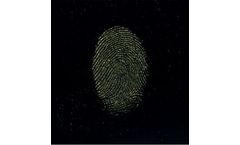 Sirchie - Gold Metallic Fingerprint Powder