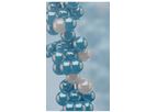 SomaGenics - Model miR-ID/miR-Direct - Real-Time Quantitative PCR Technology