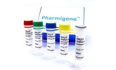 Pharmigene - Model HLA-B*27 - RT-PCR & SYBR Green Based Detection Kit