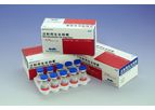 Somatostatin for Injection