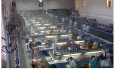 Genfog - Cooling Systems