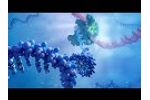 Who We Are - Aldevron - Video