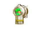 Teledyne Oldham - Model DG7 Series - Intelligent Toxic and Flammable Gas Detectors