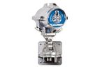Teledyne Spyglass - Model Xtend - H2 HC - Hydrogen and Hydrocarbon Flame