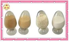 Jiejing - Model JJ201205 - Pure Alginate