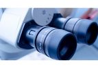Analytical Excellence Services
