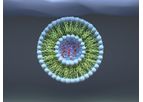 SEQENS - Custom Lipids