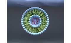SEQENS - Custom Lipids