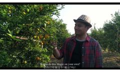 Wanna Higher Yield with LESS irrigation Water? SOCOPolymer, the ONE Solution to Get Them All! - Video
