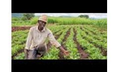 SOCO Hydrogel - Increase Yield by 30%! - Video