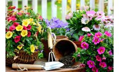 Water retention agent special for horticulture
