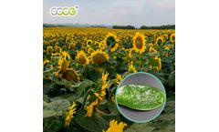 SOCO - Model CROPSORB™ - Potassium Polyacrylate