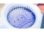 Disease Panels - Flow Cytometry