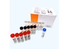 OPTI - Model SARS-CoV-2 - RT-PCR Test