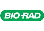 Rapid Custom Antibody Generation for SARS-CoV-2 Assay Development