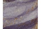 Model RFF-VIII R/1 - Mouse Anti Human Von Willebrand Factor Antibody, Clone