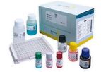 TestLine EIA - Model AdA096 - Adenovirus IgA Test Kit