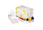 Model DNA096 - Elisa Kits EIA dsDNA