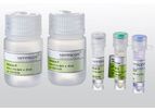 Sysmex - Model Flow VIT - Alicyclobacillus Kit