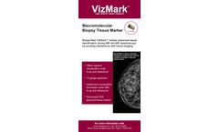 VizMark - Brochure