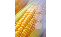 GenoMAGIC - Advanced Multi-Purpose Breeding Platform