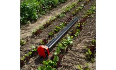 Teralytic - 5 Probe Starter Kit