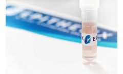 Epithelix - Model hSAEC - Human Small Airway Epithelial Cells