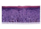 SkinEthic - Model RHPE - Human Pigmented Epidermis