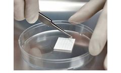 AmnioGraft - Biologic Ocular Transplantation Graft Tissue