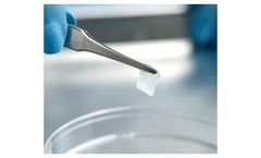 AmnioGuard - Umbilical Cord Graft Tissue