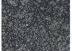 Allevi - Model A-HUCPI - Human Hepatocytes Cells