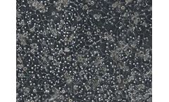 Allevi - Model A-HUCPI - Human Hepatocytes Cells