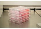 Poietis Poieskin - Bioprinted Human Full Thickness Skin Model