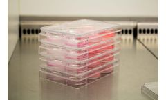 Poietis Poieskin - Bioprinted Human Full Thickness Skin Model