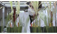 Leaps X Sound Agriculture: Reducing Nitrogen Fertilizer Use - Video