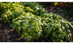 Working Together To Improve Our Food System
