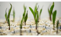 Next-Generation Breeding For Better Food