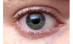 Bioengineered Cornea