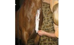 Solution for Veterinary Care
