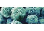 Gel4Med - Antimicrobial Shield Technology