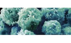 Gel4Med - Antimicrobial Shield Technology