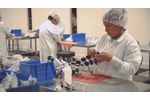 Richmar, Made in USA - Video