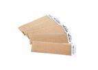 Nirmidas - Model pGOLD - Slides Assay Platform  Plasmonic Gold Film Technology