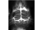 Nirmidas - Model NIR-II -NIR-I-II - Near Infra-Red Dye Technology