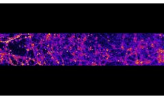 Vala Sciences Inc Kinetic Image Cytometry iPSC dopaminergic neurons 400 fps V2 - Video